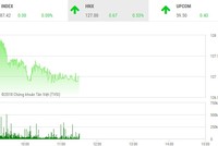 Phiên sáng 24/1: Dòng tiền chờ đợi sàn HOSE