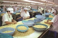 Cổ phiếu LAF chưa thoát khỏi diện cảnh báo