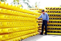 Nhựa Đồng Nai (DNP) bị phạt và truy thu gần 7 tỷ đồng tiền thuế