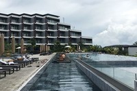 Tập đoàn CEO trả cổ tức 10% bằng tiền mặt