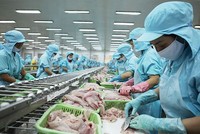 Cổ phiếu cần quan tâm ngày 18/9