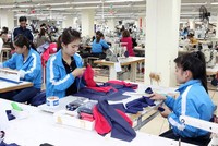 8 tháng, TNG sắp cán đích lợi nhuận năm