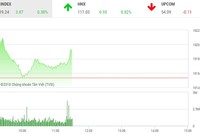 Phiên sáng 28/9: STB nổi sóng, VN-Index tiến sát mốc 1.020 điểm