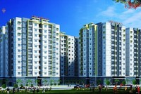 Tanimex (TIX) trả cổ tức 10% bằng tiền mặt và phát hành cổ phiếu, tỷ lệ 22:3