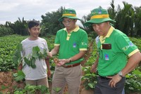 9 tháng, Đạm Phú Mỹ (DPM) ước lãi 625 tỷ đồng, vượt 41% kế hoạch cả năm