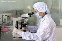 Tập đoàn Sao Mai đăng ký mua 27 triệu cổ phiếu IDI