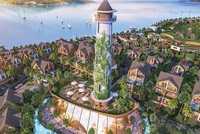 Netland (NRC) trả cổ tức năm 2017, tỷ lệ 20% bằng tiền mặt