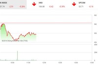 Phiên sáng 14/12: Cổ phiếu P khởi sắc, thị trường vẫn chìm trong sắc đỏ