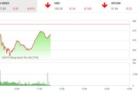 Phiên sáng 4/1: Lực cầu bắt đáy nhập cuộc, VN-Index hãm đà rơi