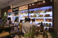 Sao Thái Dương (SJF): Cổ phiếu lao dốc, các lãnh đạo đua nhau đăng ký mua vào