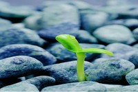 Nhìn lại “Gia Cát Dự” nhận định chứng khoán tuần qua