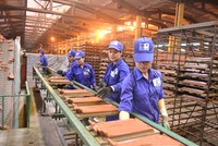 Cổ phiếu cần quan tâm ngày 16/1