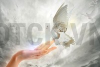 Big_Trends: Hãy tận dụng giai đoạn thị trường tốt ngay nửa đầu năm 2019