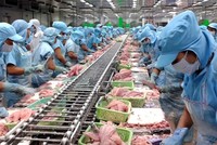 Cổ phiếu cần quan tâm ngày 14/3