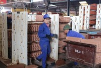 Viglacera Hạ Long (VHL) sẽ chia cổ tức năm 2018 với tỷ lệ 30%