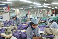 Năm 2019, Vinatex (VGT) đặt mục tiêu lợi nhuận hợp nhất 839 tỷ đồng, trả cổ tức 6%