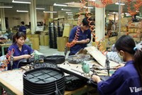 Không đăng ký giao dịch chứng khoán, Điện cơ Thống Nhất bị phạt 410 triệu đồng