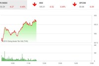 Phiên sáng 8/5: Lực cầu bắt đáy nhập cuộc, VN-Index hãm đà rơi