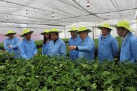 Nafoods (NAF) phát hành hơn 5,44 triệu cổ phiếu trả cổ tức và 1,81 triệu cổ phiếu ESOP