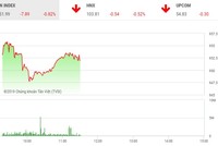 Phiên sáng 3/6: Tiếp tục giảm sâu