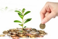 Chương Dương (CDC) trả cổ tức đợt 2/2019 bằng tiền, tỷ lệ 15%