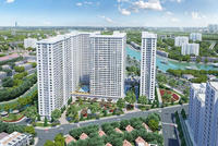 Cổ phiếu cần quan tâm ngày 31/7