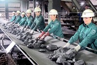 Vinacomin tiếp tục đăng ký mua hơn 1 triệu cổ phiếu MDC