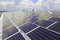 Tập đoàn Sao Mai (ASM): Con Tổng giám đốc muốn mua 5 triệu cổ phiếu