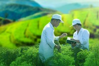 Traphaco (TRA) có thêm Phó tổng giám đốc là người Hàn Quốc