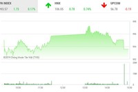 Phiên chiều 14/10: Cổ phiếu họ FLC “nổi loạn”