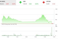 Phiên chiều 28/10: Thị trường quay đầu điều chỉnh, họ FLC bùng nổ