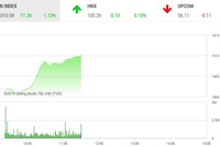 Phiên sáng 1/11: Thị trường bùng nổ, VN-Index tăng vọt lên 1.010 điểm