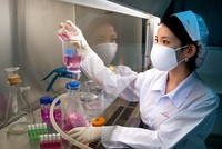 Cổ phiếu cần quan tâm ngày 13/11