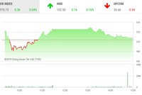 Phiên chiều 29/11: Nhiều bluechip quay đầu, VN-Index may mắn thoát hiểm
