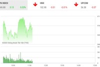 Phiên sáng 3/1: VN-Index chinh phục mốc 970 điểm, ROS hồi sinh