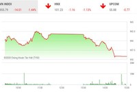 Phiên chiều 6/1: Ồ ạt xả hàng, thị trường chìm sâu