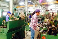 Cơ khí chế tạo Hải Phòng (CKH) tạm ứng cổ tức 10% bằng tiền mặt