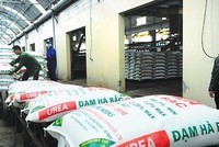 Đạm Hà Bắc (DHB) lỗ năm thứ 4 liên tiếp, âm vốn chủ sở hữu hơn 516 tỷ đồng