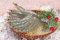 Camimex Group (CMX) sẽ phát hành hơn 13 triệu cổ phiếu bằng mệnh giá