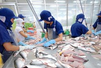 Nam Việt (ANV) chi hơn 127 tỷ đồng tạm ứng cổ tức đợt 1/2019