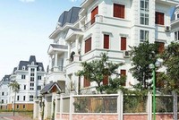 Lideco (NTL): Phó chủ tịch HĐQT đăng ký mua thêm 1,2 triệu cổ phiếu