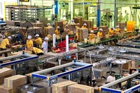 Đường Quảng Ngãi (QNS) trả thêm cổ tức năm 2019 bằng tiền, tỷ lệ 15%