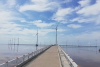 Điện gió Bạc Liêu, một trong những điểm thu hút du khách khi về tỉnh này tham quan, du lịch...