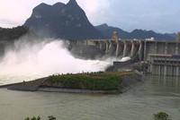 Sông Ba (SBA) lên kế hoạch lợi nhuận quý II vọn vẹn 0,11 tỷ đồng