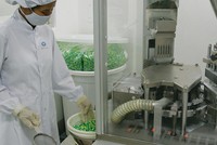 Dược Hậu Giang (DHG) dự kiến trả thêm 10%, đưa cổ tức 2019 lên mức 40%