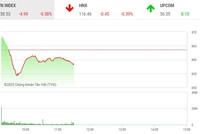 Giao dịch chứng khoán sáng 15/6: Sóng penny vẫn lớn