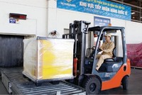 Noibai Cargo (NCT) dự kiến chia cổ tức năm 2019 với tỷ lệ 85%