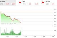 Giao dịch chứng khoán sáng 24/7: Bán tháo ồ ạt, thị trường lao dốc