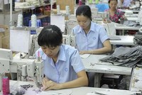 Gilimex (GIL) chi 60 tỷ đồng chia cổ tức năm 2021, tỷ lệ 10%