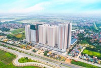 CRE tăng giá: Điểm sáng cổ phiếu bất động sản thời Covid-19